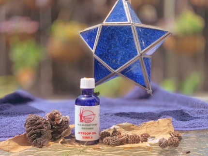Hyssop 3% Jojoba Essential Oil Hyssop 3% Jojoba Essential Oil